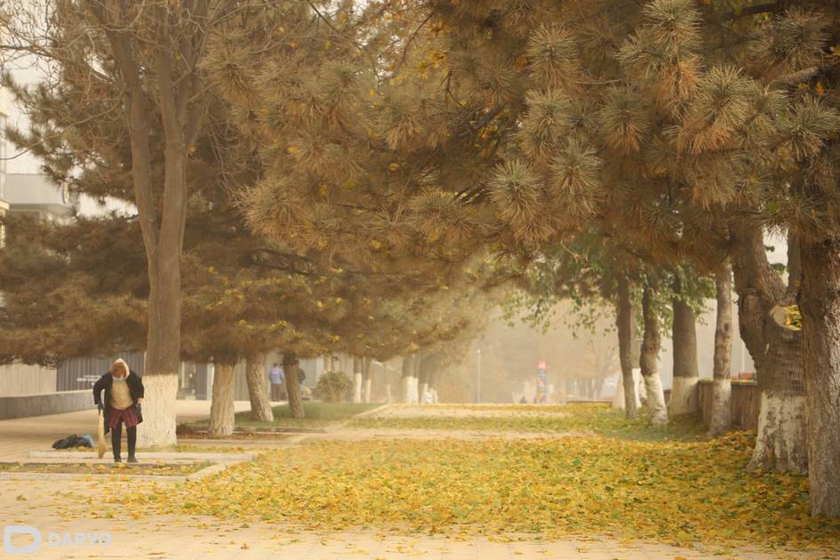 O‘zbekistonda havo sifati yomonlashganda davlat xizmatchilari masofaviy ishga o‘tkazilishi mumkin